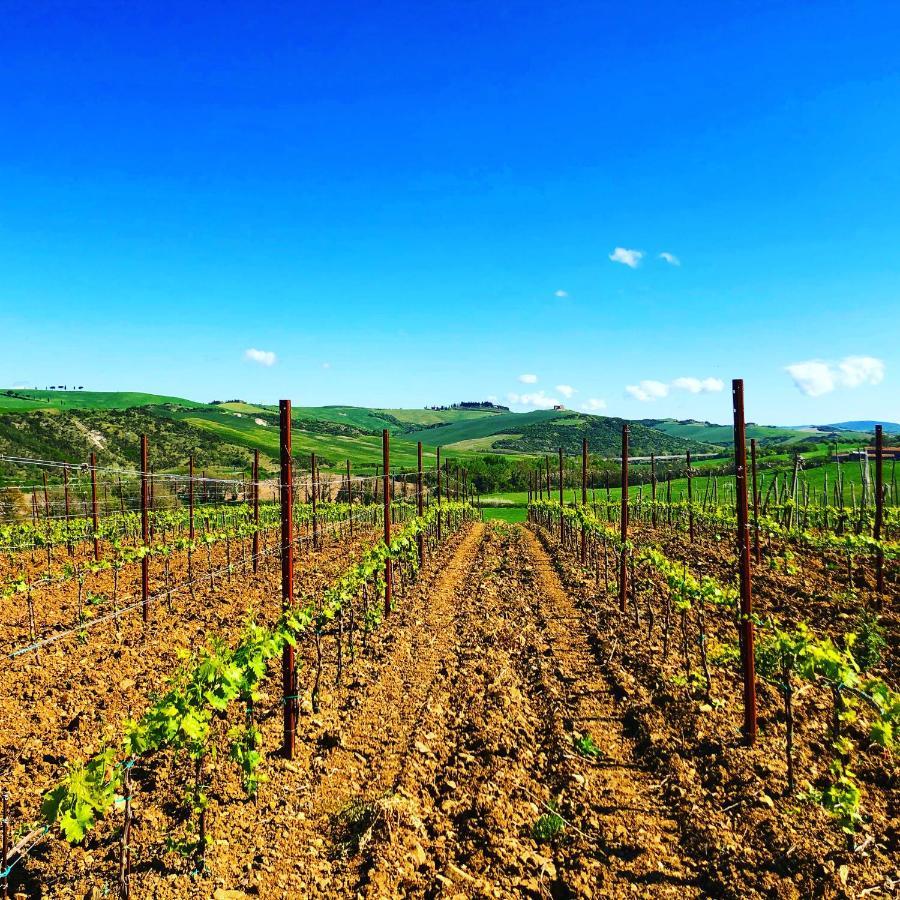Agriturismo Oria Bianca Villa ซันกีรีโกดอร์เชีย ภายนอก รูปภาพ