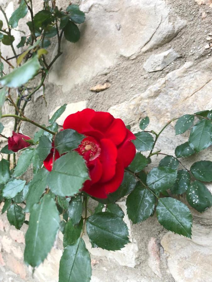 Agriturismo Oria Bianca Villa ซันกีรีโกดอร์เชีย ภายนอก รูปภาพ