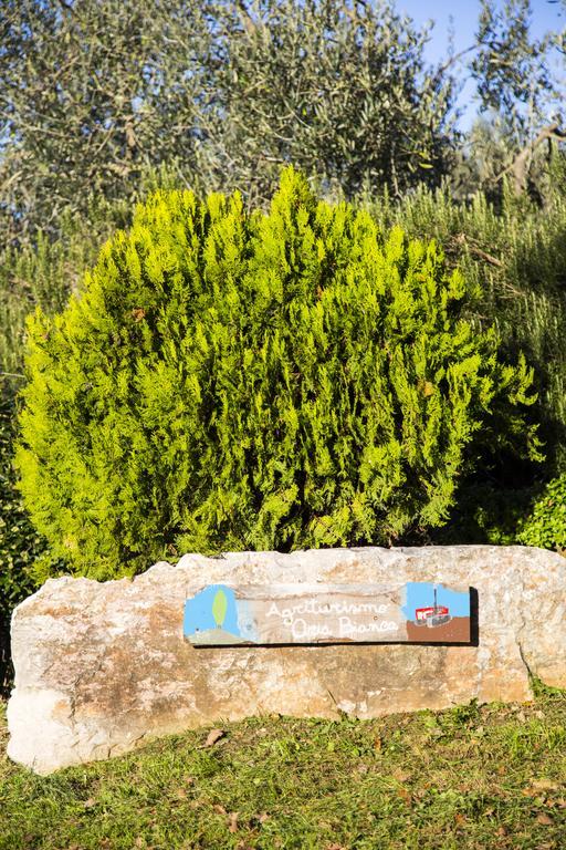Agriturismo Oria Bianca Villa ซันกีรีโกดอร์เชีย ภายนอก รูปภาพ